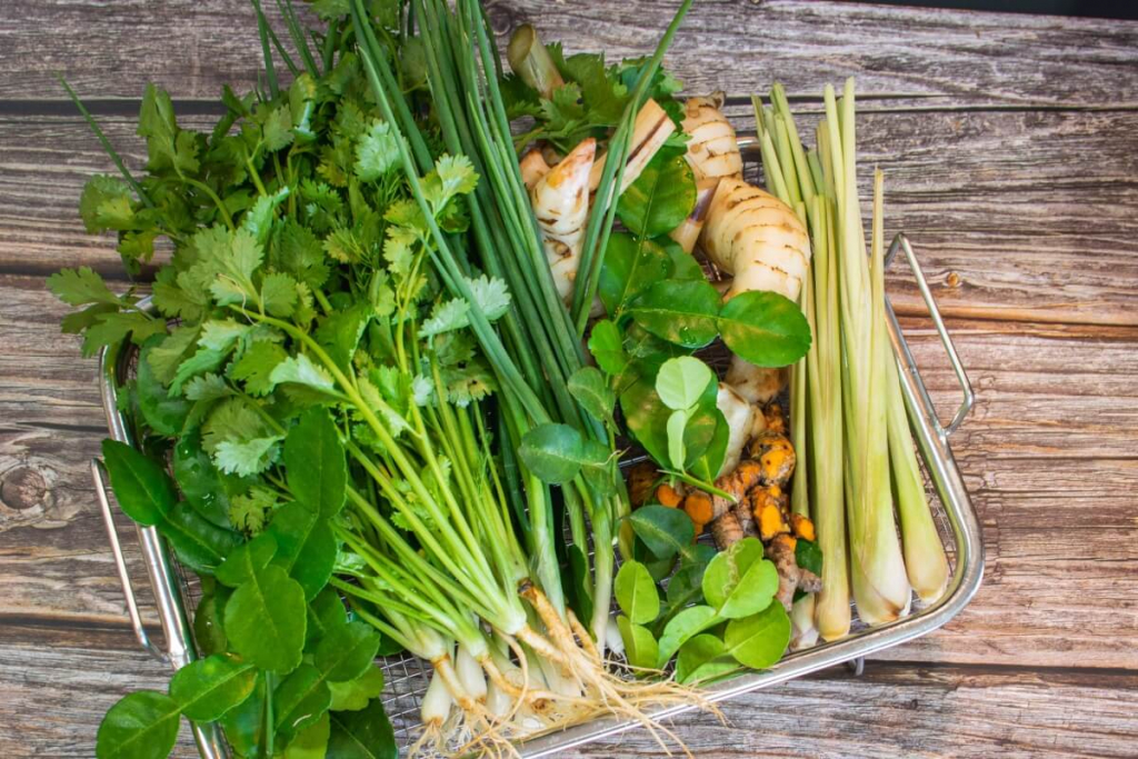 6 ervas para deixar a comida ainda mais gostosa