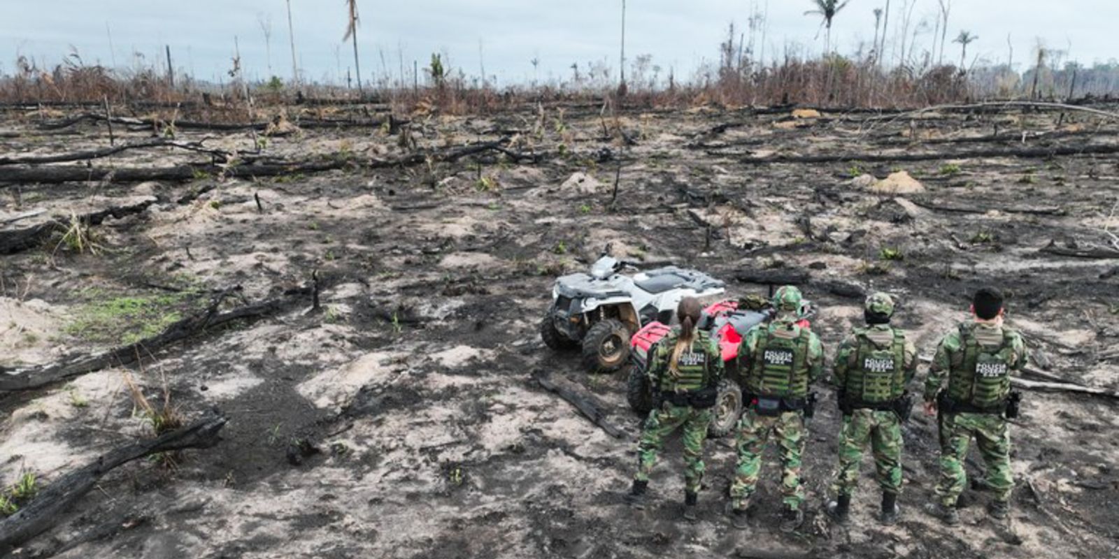 AGU cobra R$ 76 milhões de desmatadores em cinco biomas