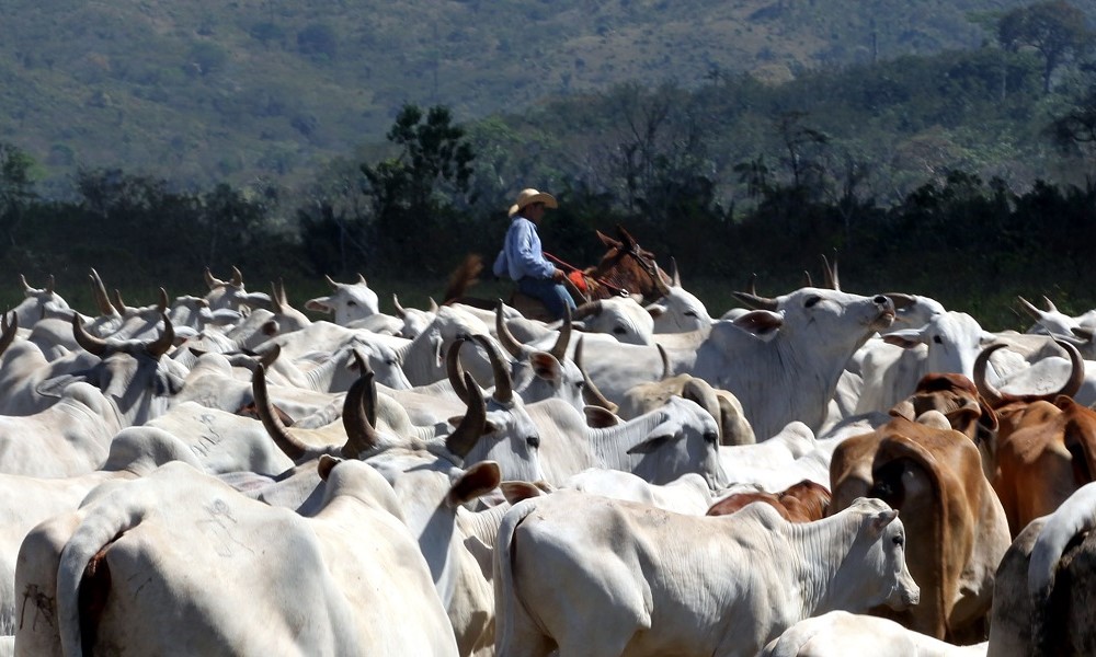 Carne bovina vai subir mais?