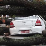 Chuva intensa em São Paulo causa queda de árvores e morte