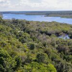 Desmatamento na Amazônia tem queda em fevereiro, dizem alertas do Inpe