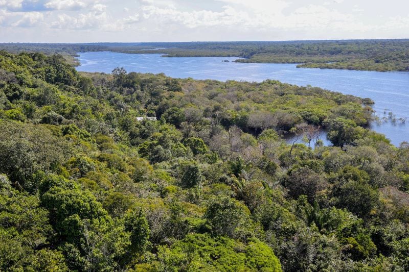 Desmatamento na Amazônia tem queda em fevereiro, dizem alertas do Inpe