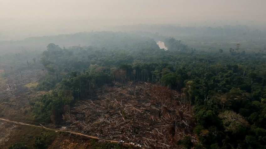 Desmatamento na Amazônia atinge menor valor da história para fevereiro