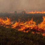 Brasil tem 1.819 focos de incêndio em fevereiro