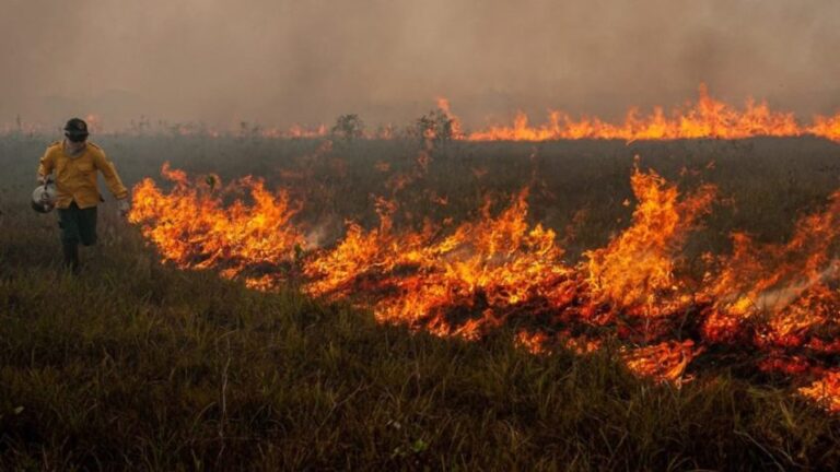 Brasil tem 1.819 focos de incêndio em fevereiro