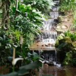 Sistema de água com mais de 200 anos abastece Jardim Botânico do Rio