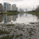 Mais de 75% dos rios da Mata Atlântica estão com qualidade da água regular