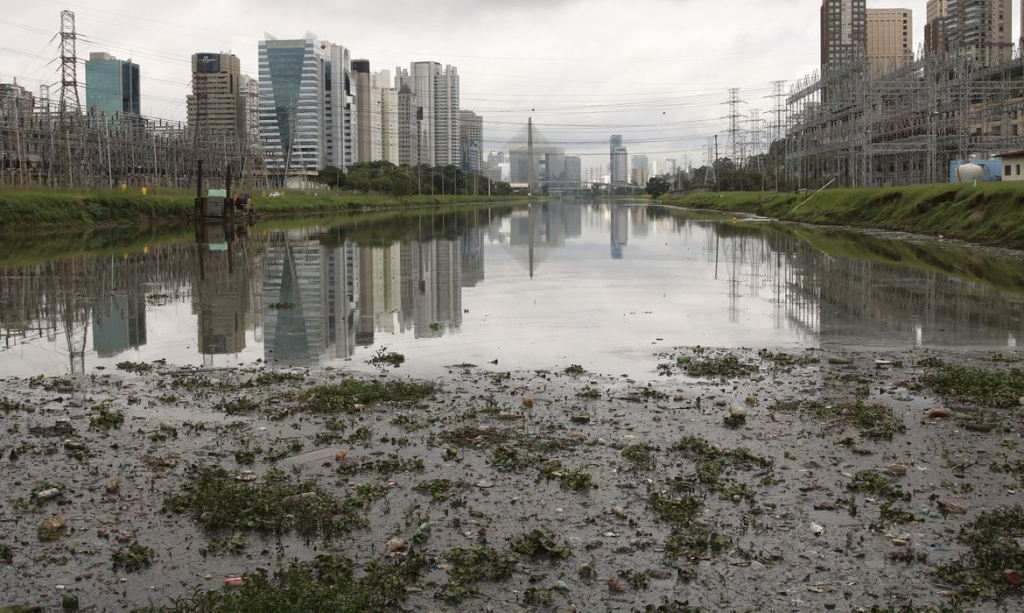 Mais de 75% dos rios da Mata Atlântica estão com qualidade da água regular