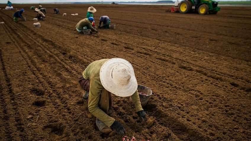 Governo quer dobrar orçamento do seguro rural para R$ 2 bilhões