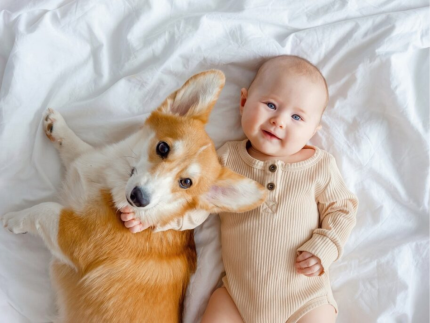 Vai ter um bebê e tem um cachorro em casa? Saiba como preparar essa convivência com carinho e equilíbrio