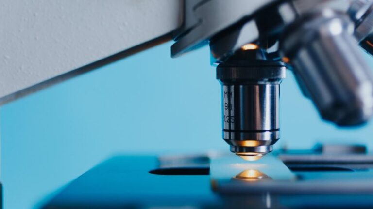 Método associa bactérias e luz no combate ao câncer de pele