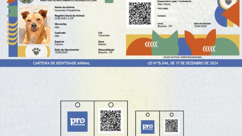 Entenda como funciona o SinPatinhas, o “RG dos pets”