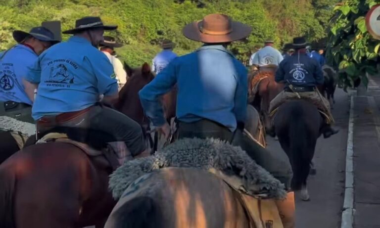 Ataque de abelhas deixa pessoas feridas e dois cavalos mortos em evento no RS