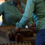 Desemprego fecha primeiro trimestre de 2025 em 7%