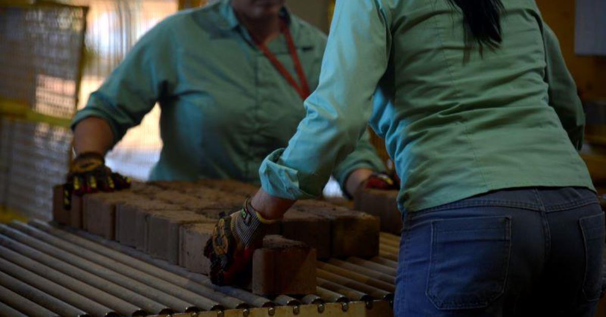 Desemprego fecha primeiro trimestre de 2025 em 7%