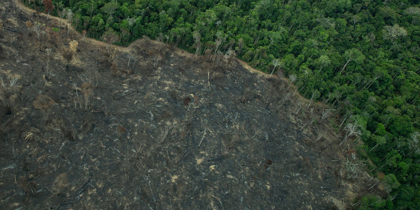 Projeto “implode” licenciamento ambiental no Brasil, diz especialista