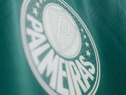 Palmeiras é denunciado pelo STJD por homofobia e arremesso de galinhas em derby