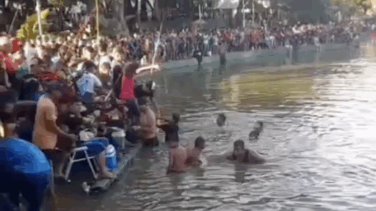 Evento em Macapá tem peixes mortos e ferroada de arraia