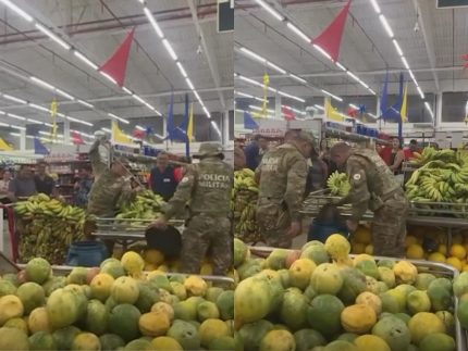 Surpresa inusitada: Filhote de cobra coral aparece entre frutas em mercado e é capturado