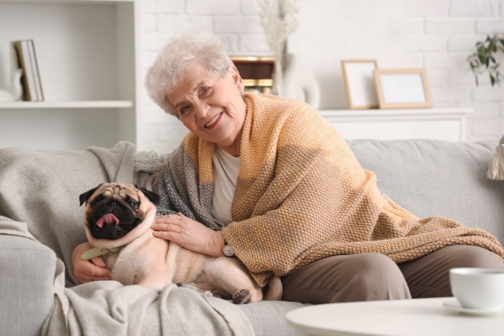 7 raças de cachorro ideais para idosos