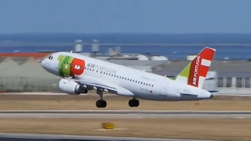 PF barra voo de empresa que negou transporte de cachorro