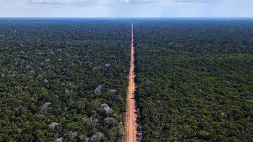 Frente Ambientalista aciona governo contra projeto de licenciamento