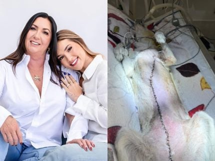 Cachorrinha da família de Virginia passa por cirurgia e enfrenta batalha contra câncer