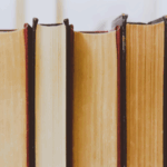 Mercado editorial brasileiro registra queda de 1,1% em 2024