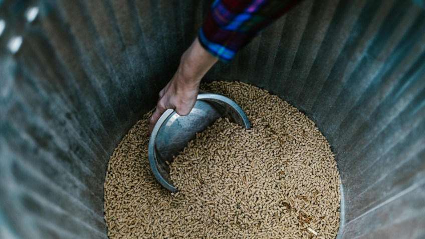 Produção mundial de rações cresce 1,2% e atinge 1,3 bi de toneladas