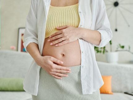 EUA vira rota de famosos em busca da barriga solidária. Entenda os motivos!