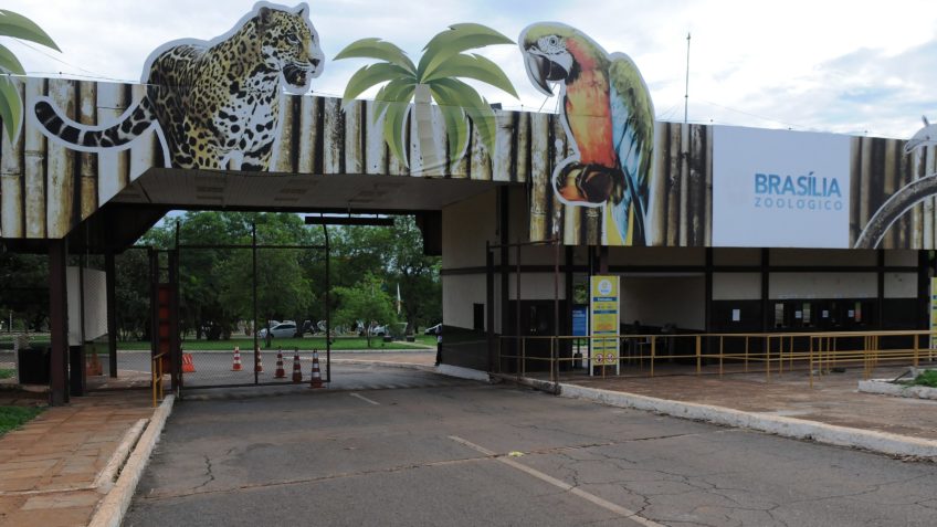 Zoológico de Brasília fecha por suspeita de gripe aviária