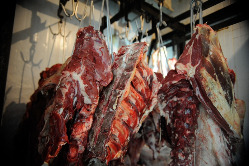 Exportações de carne bovina crescem 29% em abril