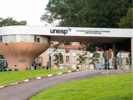 Calouros da Unesp são internados após trote com álcool e drogas