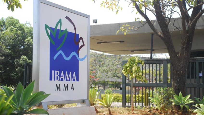 Ibama e Fundação Bunge firmam acordo para reforçar brigadas indígenas
