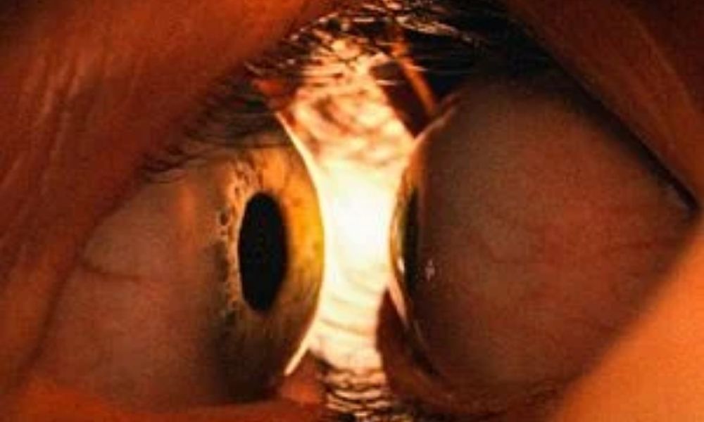 ‘Juntos’, filme apontado como o ‘melhor terror do ano’, ganha primeiro trailer nacional
