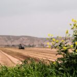 Brasil é o quinto no crescimento econômico global com aumento de 1,4% no PIB