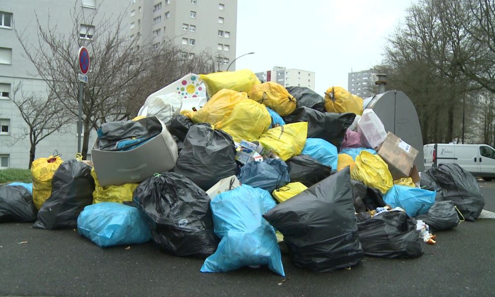Coreia do Sul consegue reciclar quase todo resíduos alimentares com sistema inovador