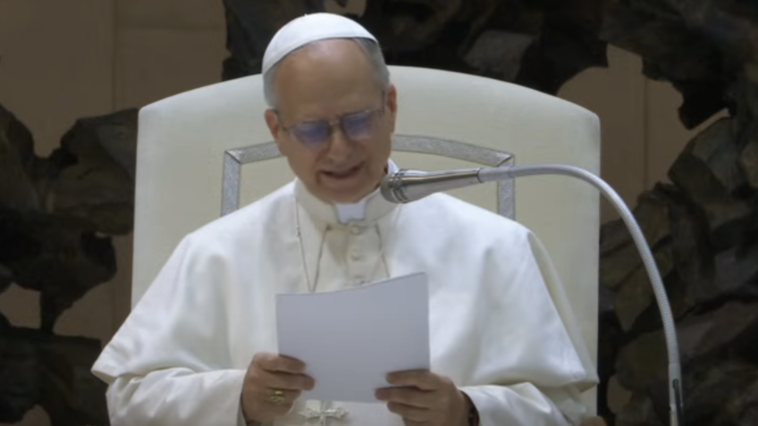 Papa Leão 14 propõe mediar conversa entre líderes mundiais pela paz