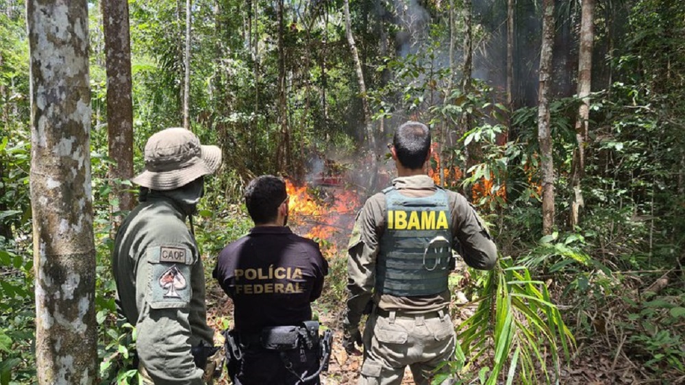 Ibama abre possibilidade de revisão em operação contra desmatamento ilegal
