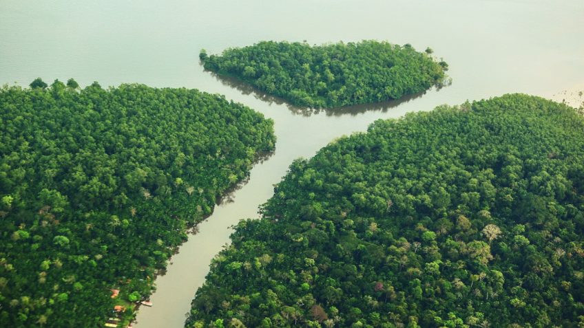 Degradação da Amazônia cresce 163% em 2 anos