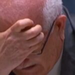 Embaixador da Palestina na ONU chora ao falar de crianças em Gaza