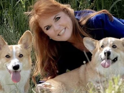 Duquesa de Iorque diz que Rainha Elizabeth II fala com ela através de seus corgis