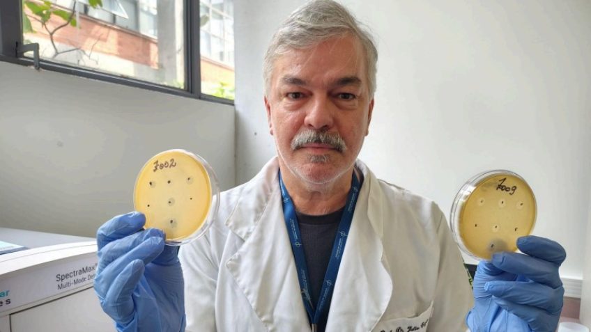 Pesquisa no Brasil descobre 62 novos vírus que matam bactérias