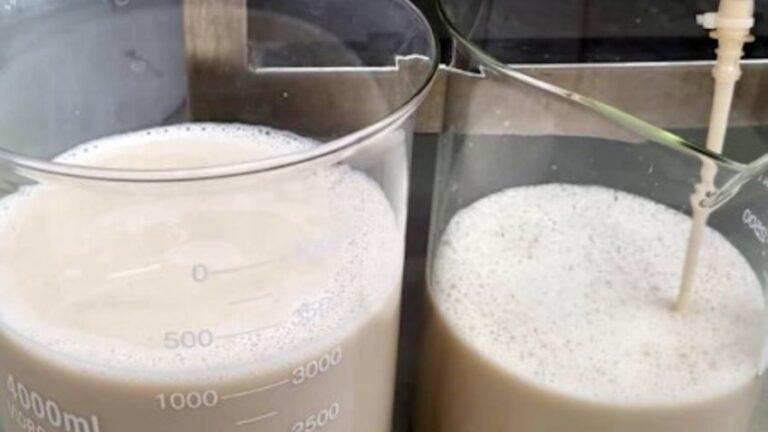 tecnologia vai produzir proteínas do leite sem vacas