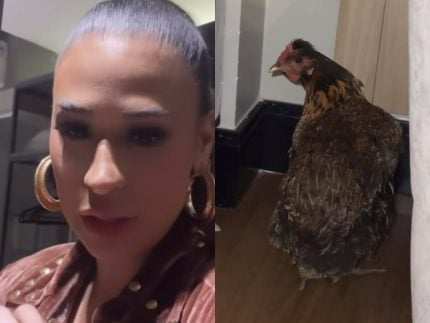 Após ganhar e adotar galinha em show, Simone Mendes leva a ave para o hotel
