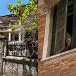 “A Mulher da Casa Abandonada”: relembre o caso que chegará às telas do streaming