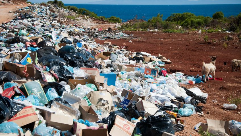 Suécia condena “Rainha do Lixo” a 6 anos por despejo de resíduos tóxicos