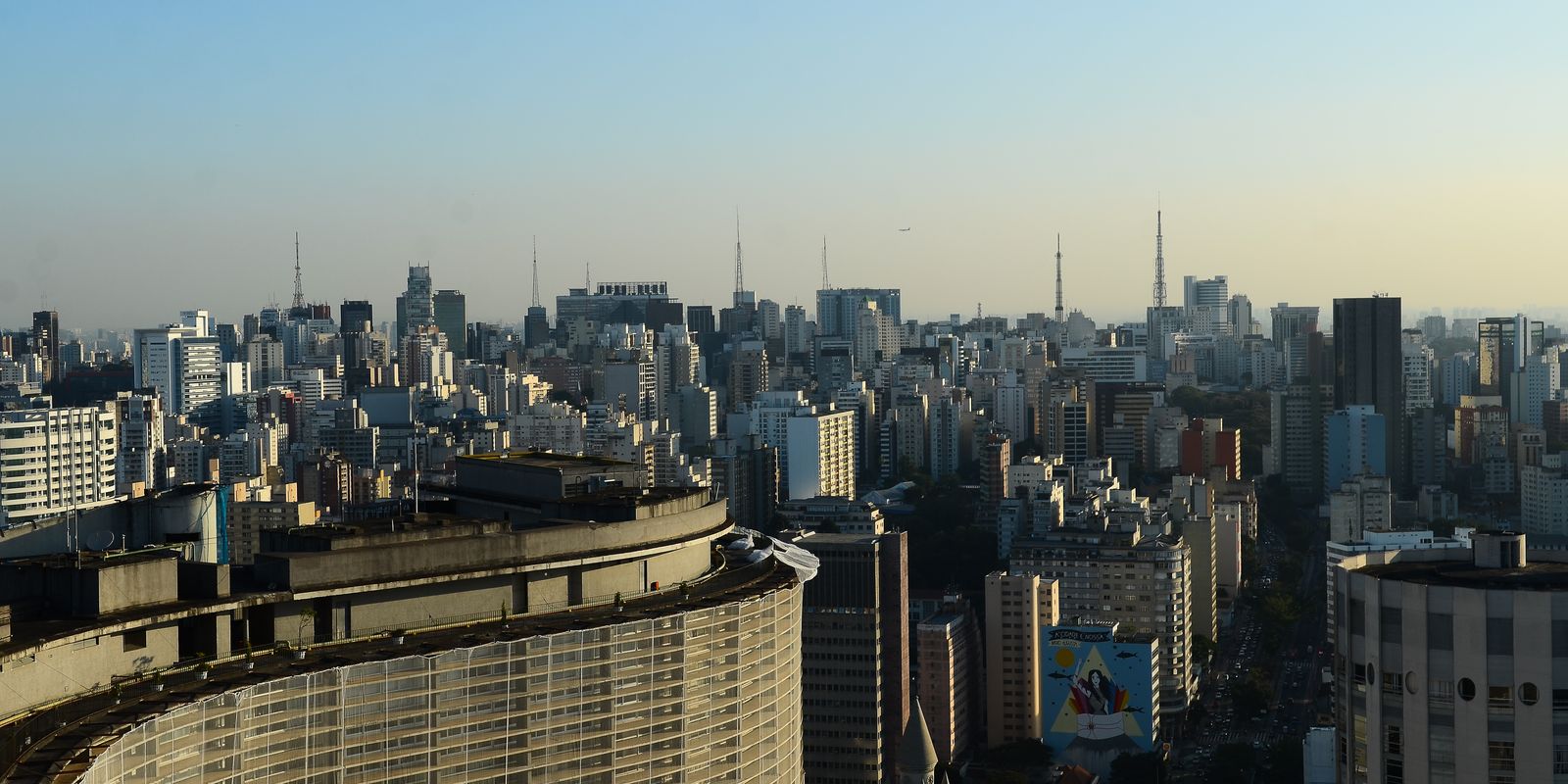 Prédios com vidraças nas cidades ameaçam aves, aponta pesquisa